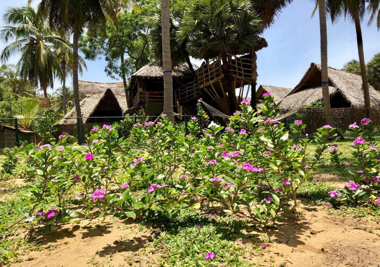 Wind Blend Kite Resort Kalpitiya Exterior photo